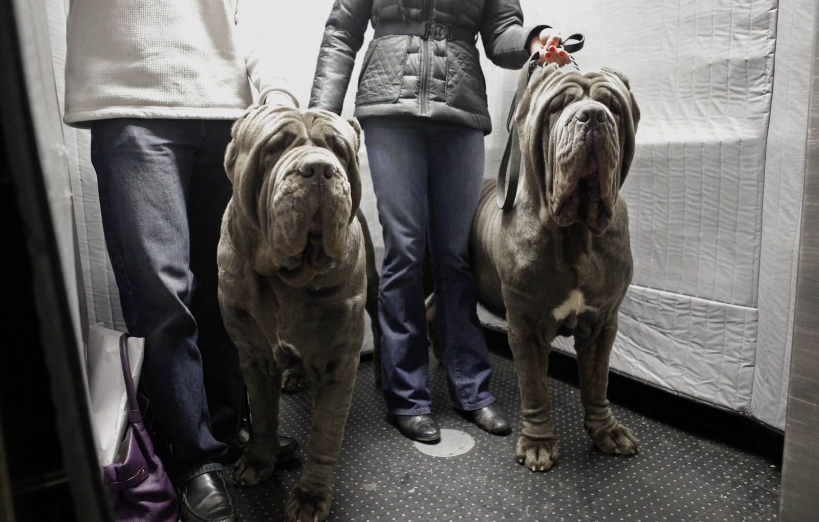 Фото: Kathy Willens/ AP