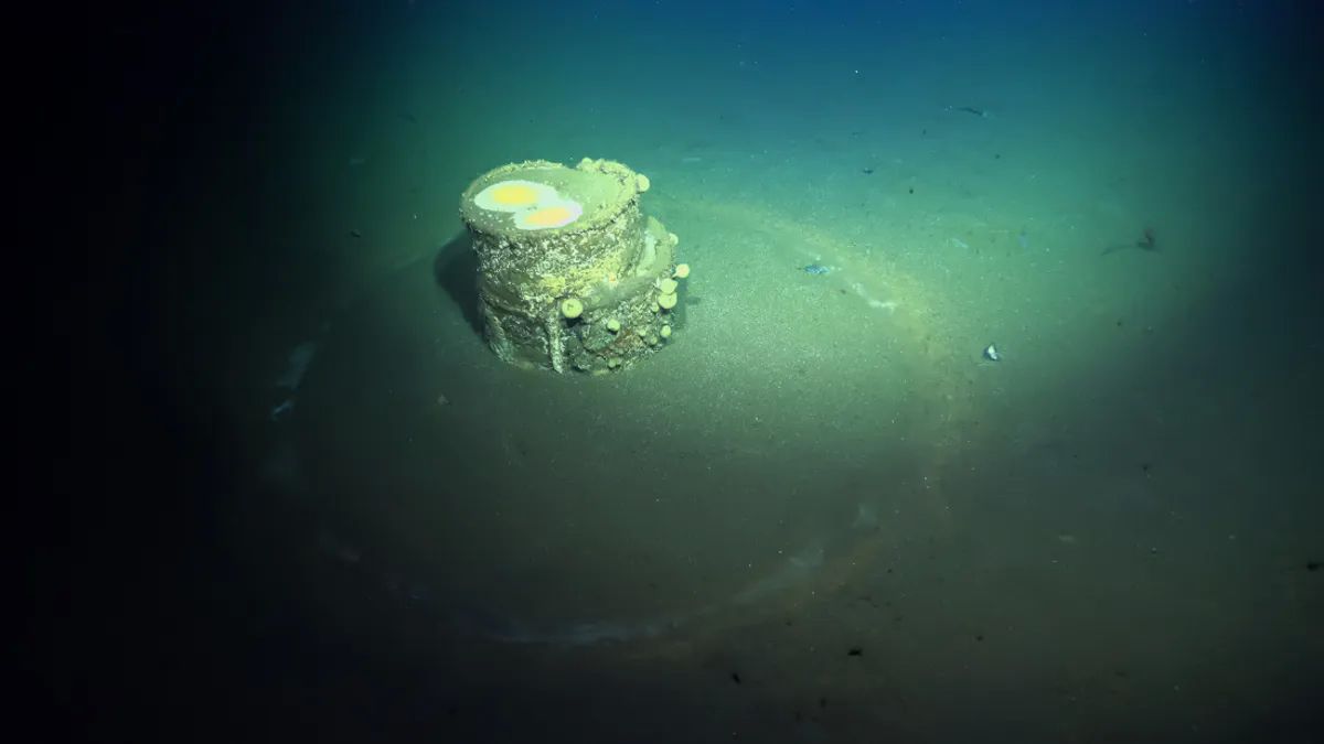 Фото: Schmidt Ocean Institute