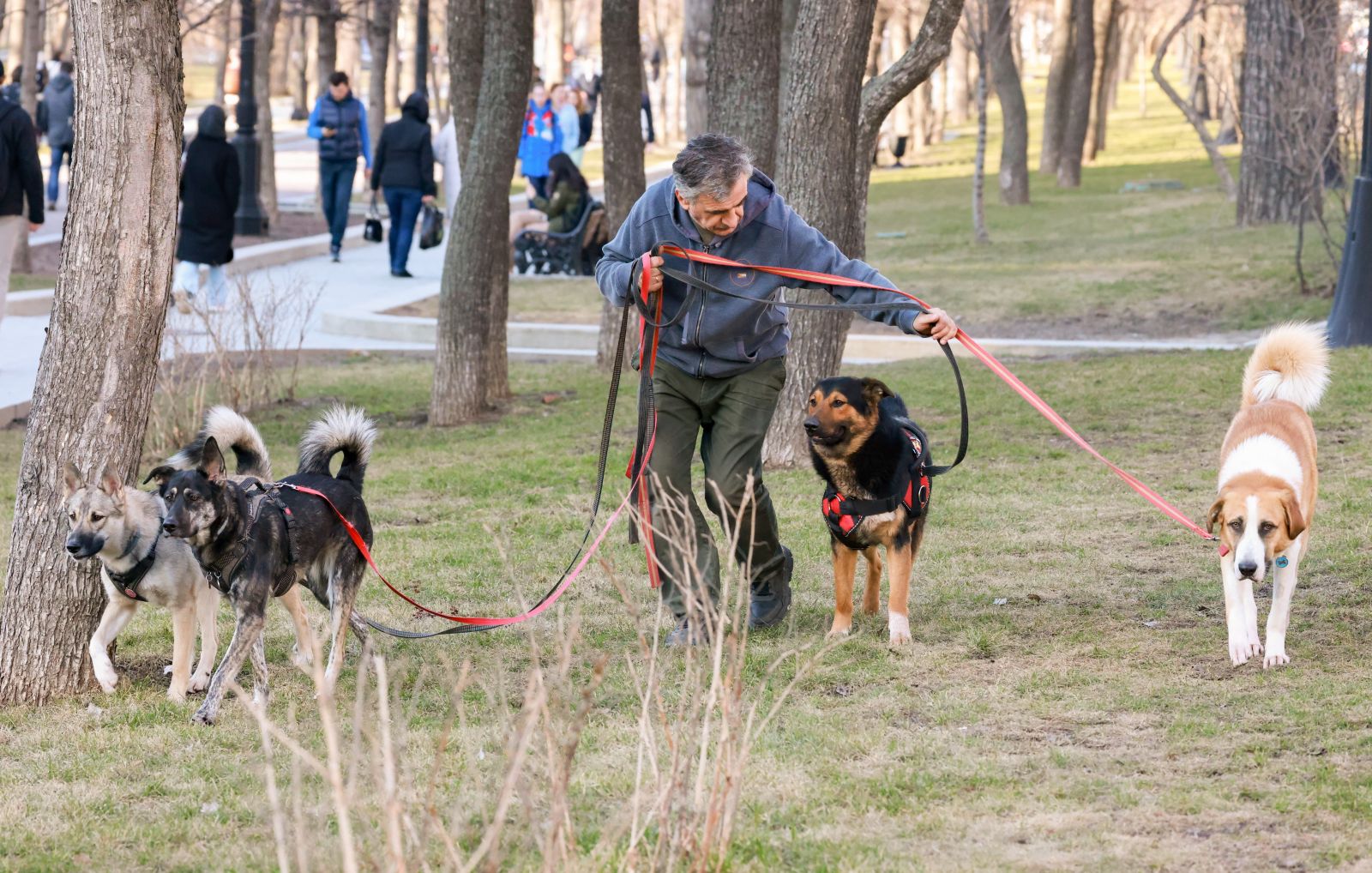 Фото: Владимир Гердо/ ТАСС