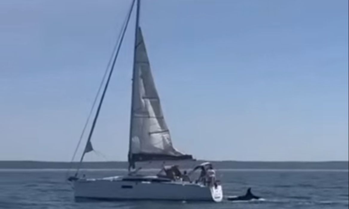 Кадр из видео