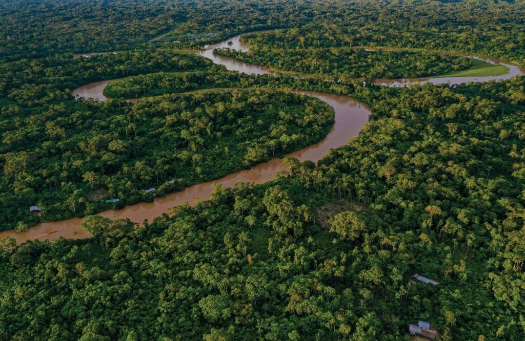 Фото: brasil.mapbiomas.org