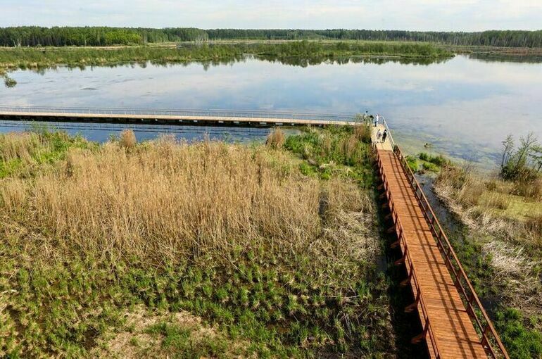 Фото: Ярослав Чингаев/Агентство «Москва»