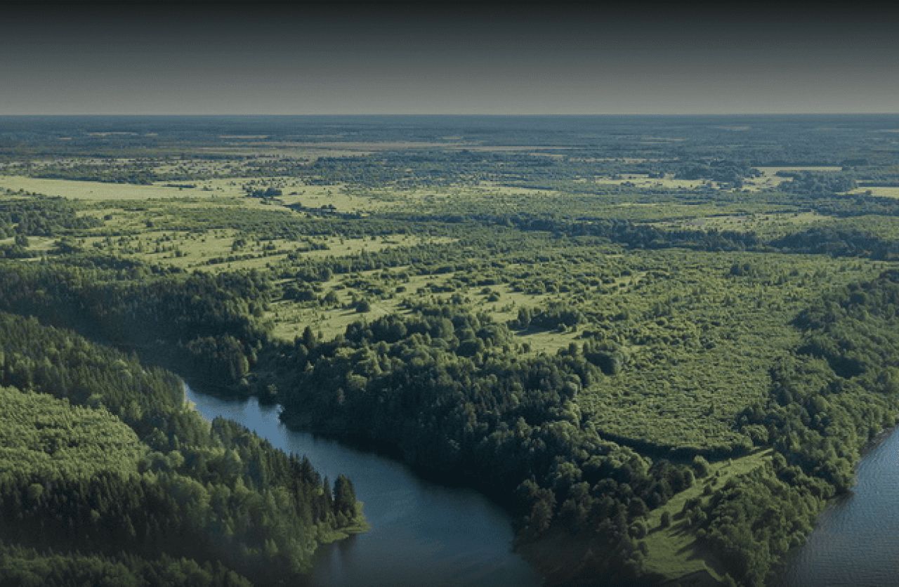 Фото: Рослесхоз