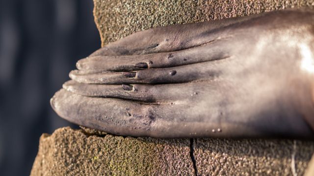 Фото: Shutterstock/FOTODOM