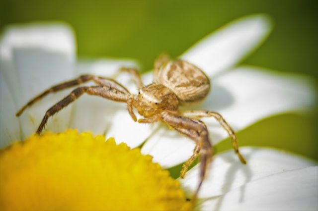 Иллюстрация: Shutterstock/FOTODOM