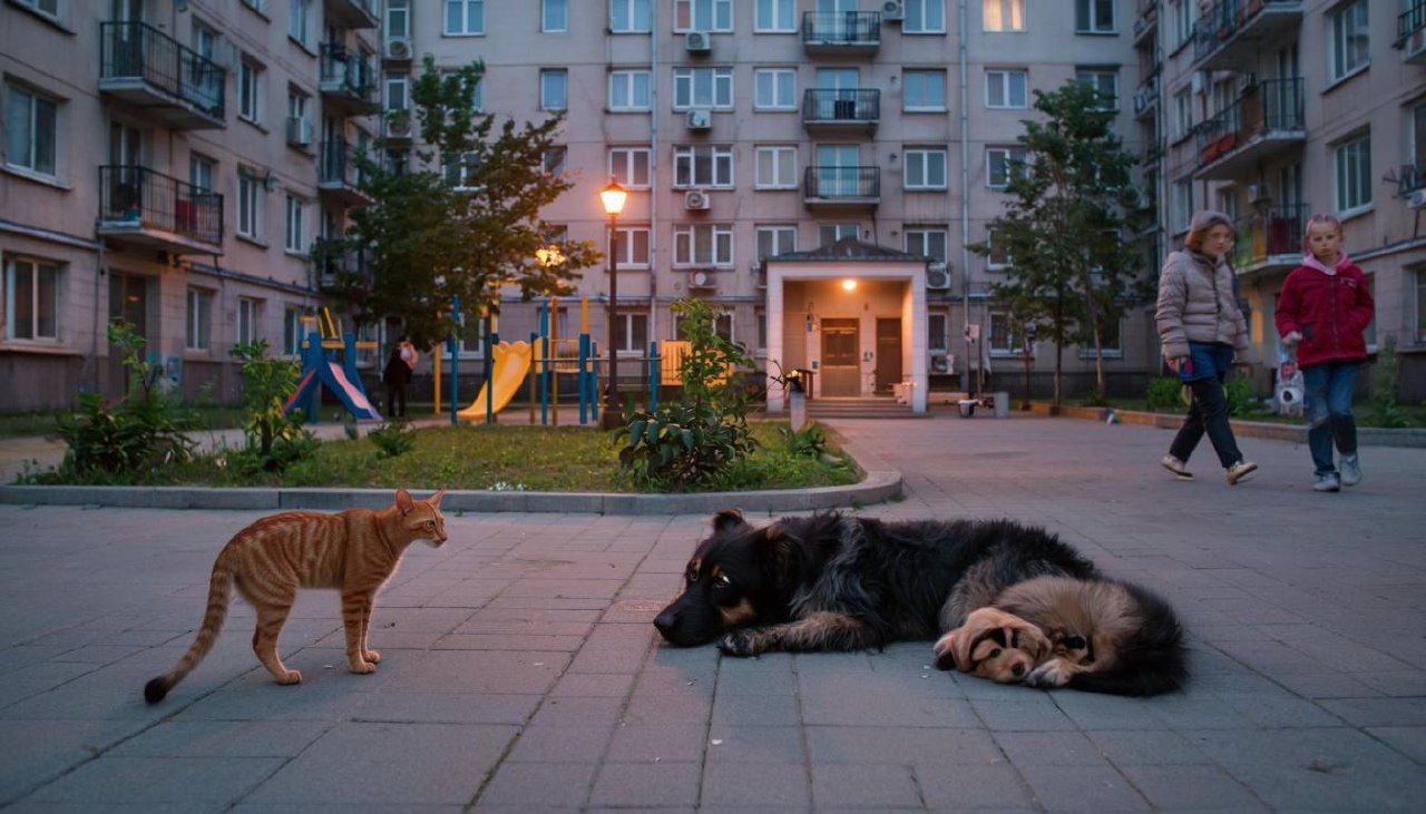 Иллюстрация: нейросеть