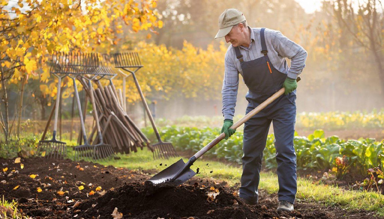 Правильная подготовка почвы к зиме начинается сразу после сбора урожая. Иллюстрация: нейросеть