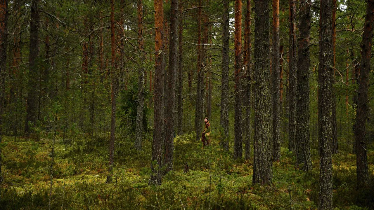 Остров Койонсаари в Лахденпохском районе Карелии. Архивное фото РИА Новости / Алексей Филиппов