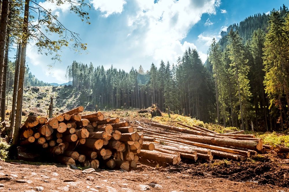 Иллюстрация: iStock