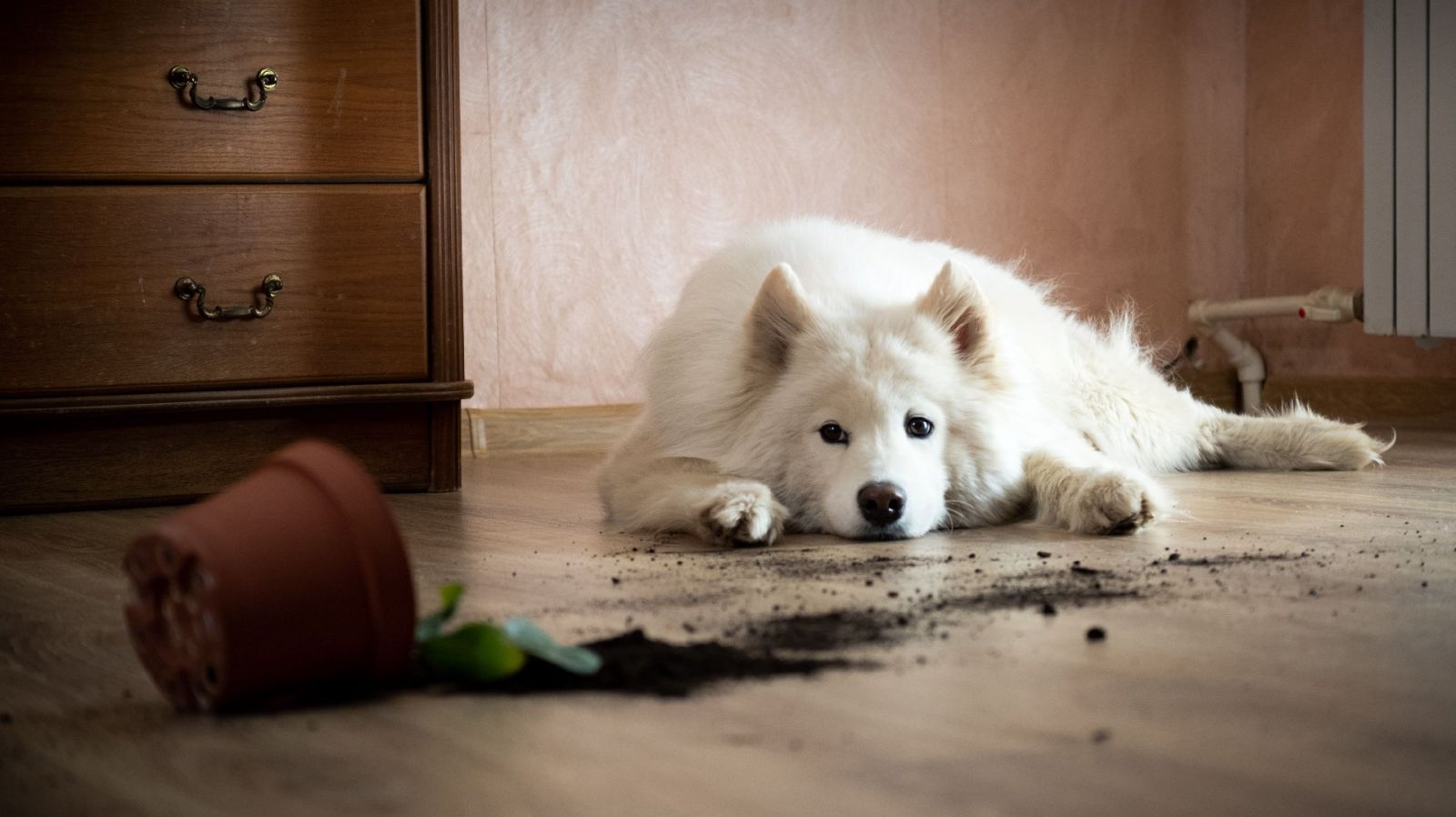 Фото: iStock/Vadim Gavrilov