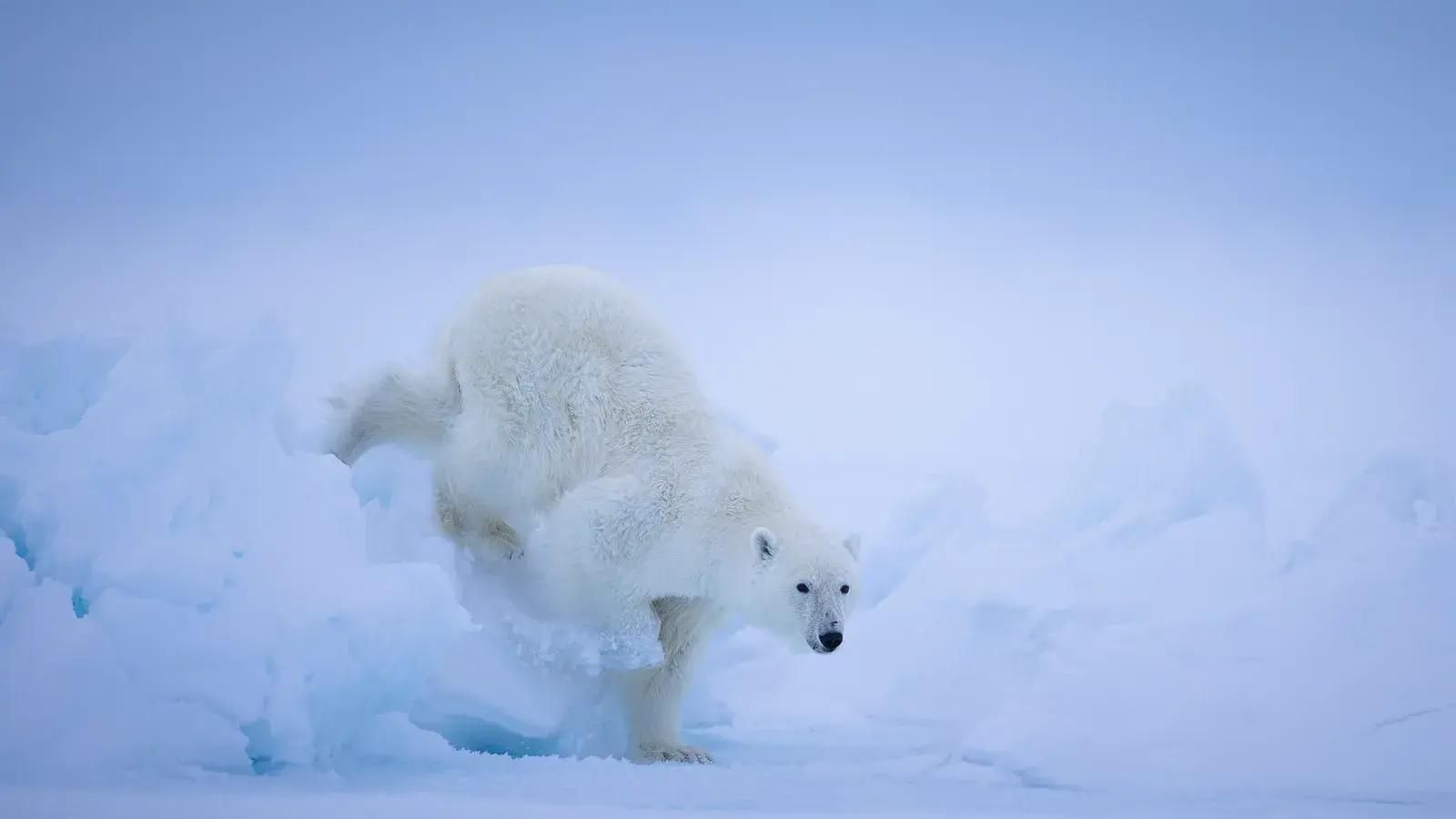Фото: Jules Oldroyd