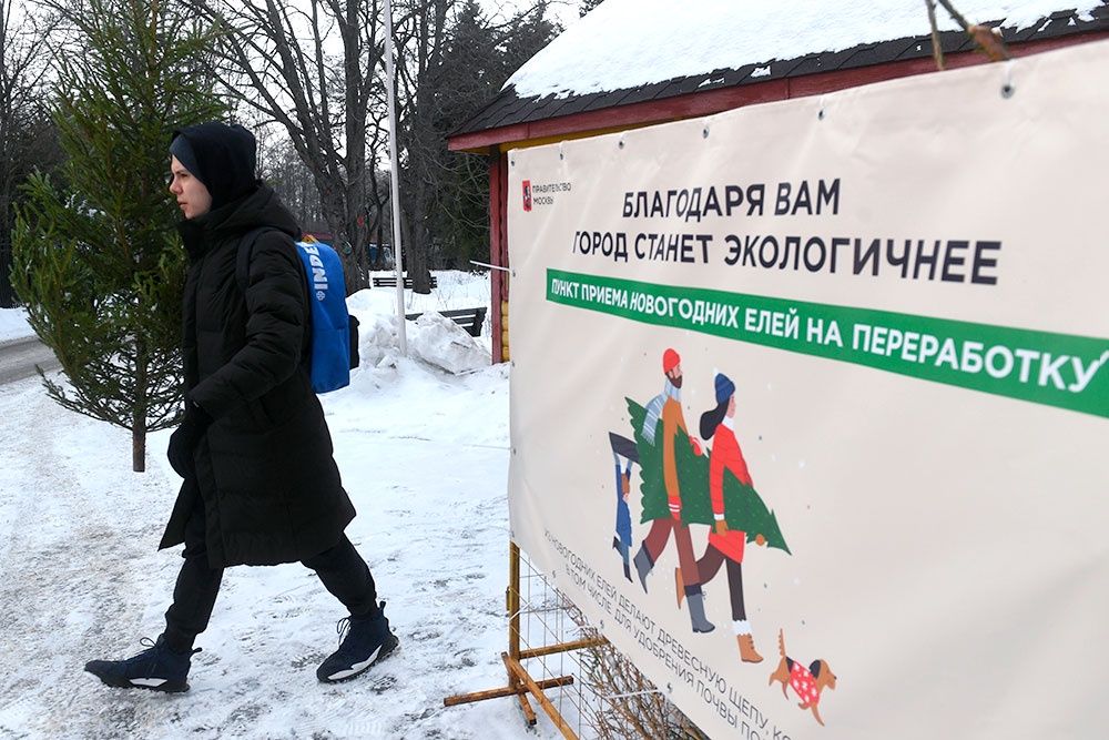 Фото: Кирилл Каллиников / РИА Новости