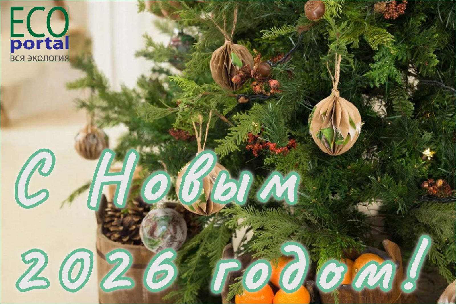 С Новым 2025 годом!