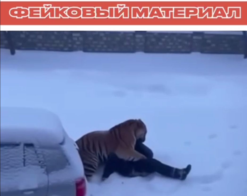 Кадр из видео