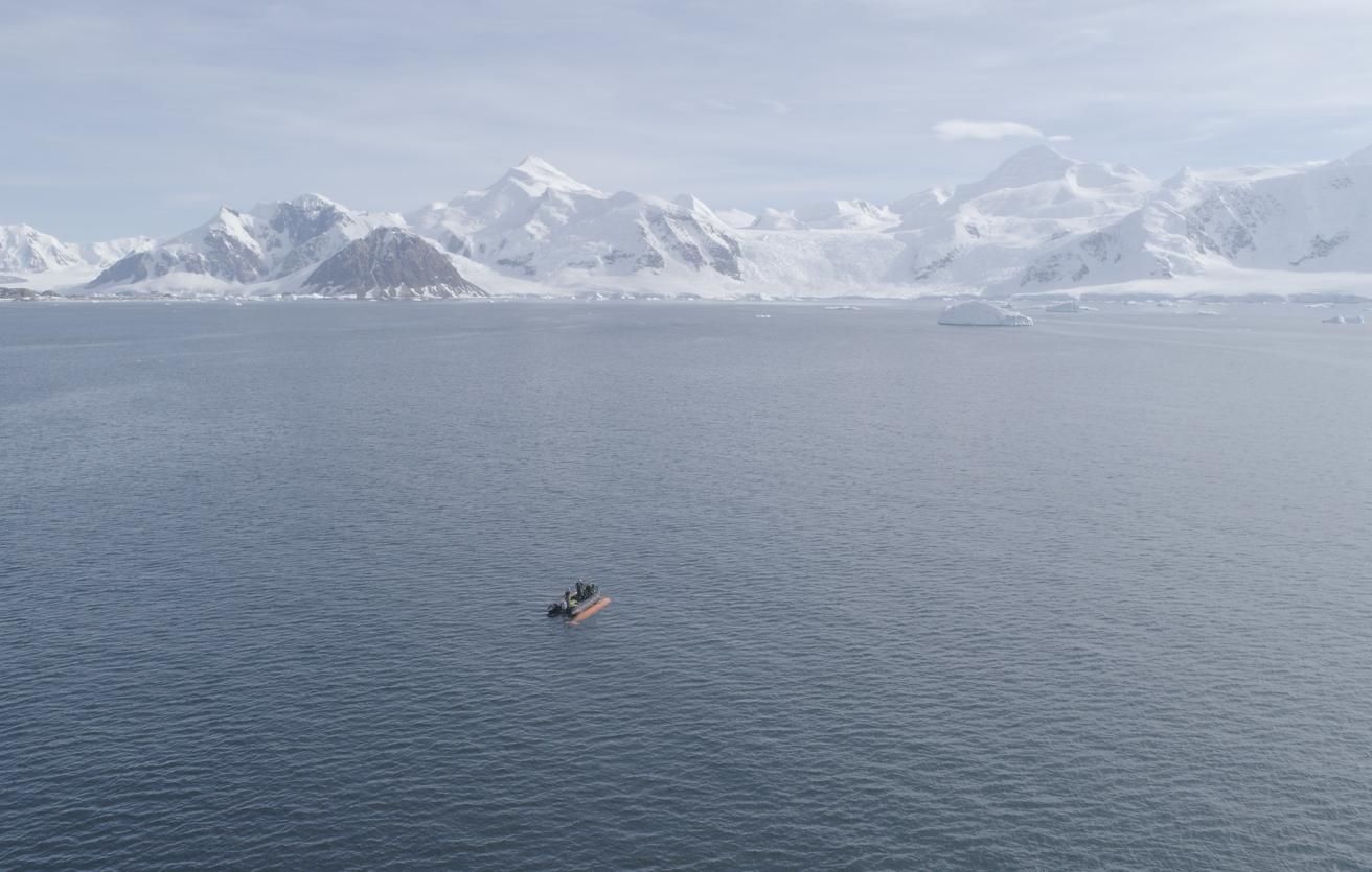 Фото: Alexandra Mazur/ University of Go via Reuters Connect