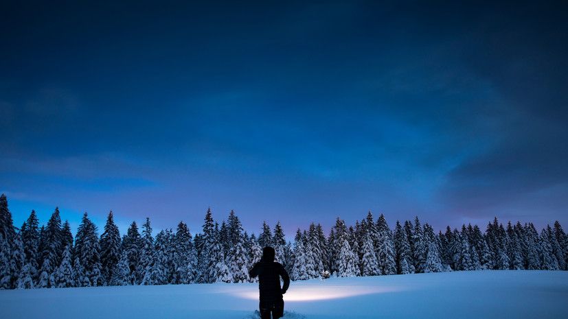 Иллюстрация: Gettyimages.ru