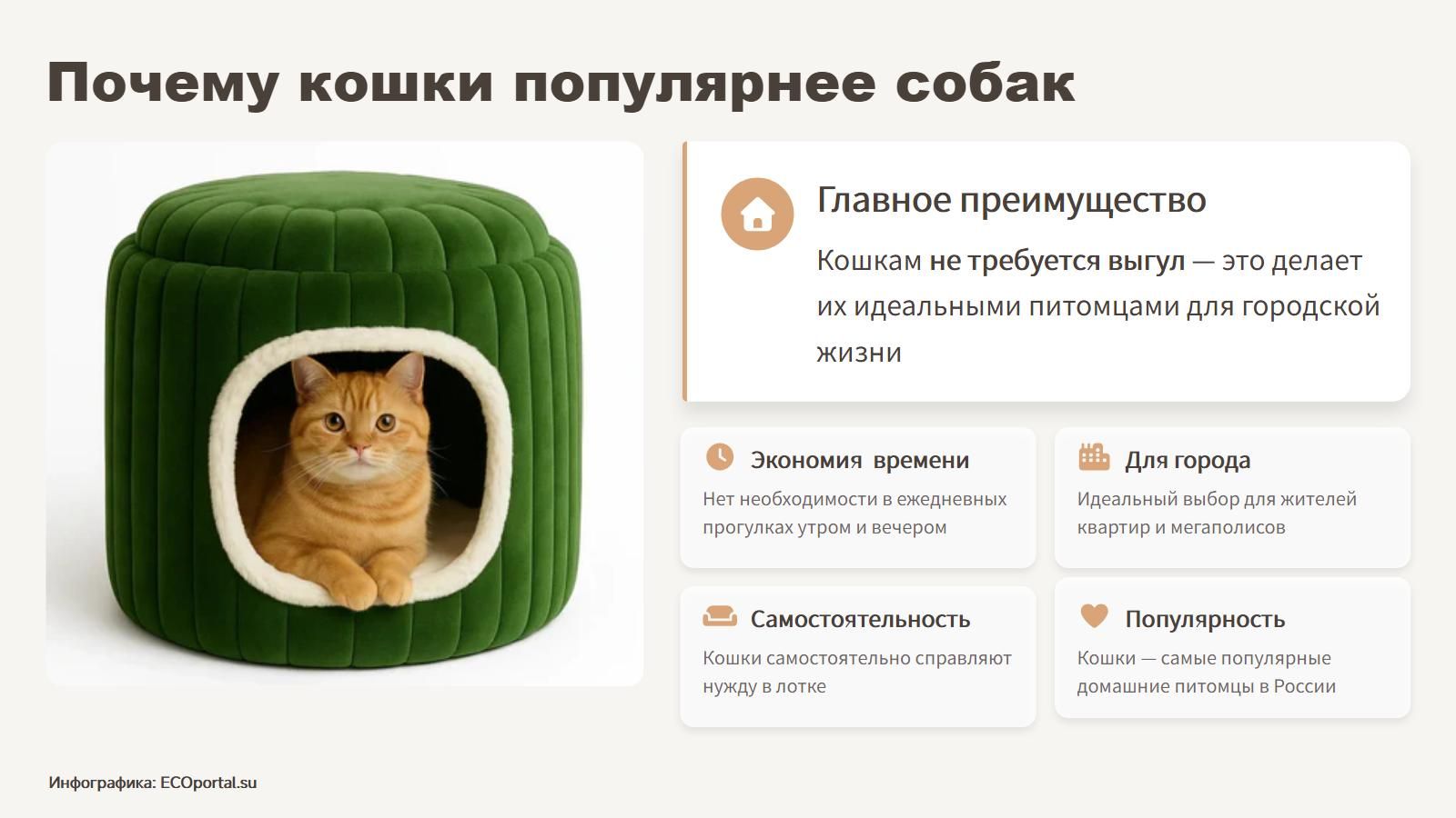Почему кошки популярнее собак? Инфографика ECOportal.su
