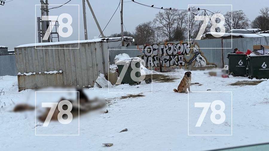 Кадр из видео «78»