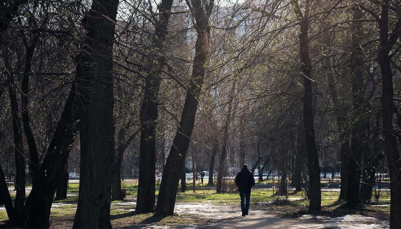 Регулярные прогулки в зелёных зонах делают людей счастливее, подтверждают исследования. Иллюстрация: ECOportal.su / ИИ