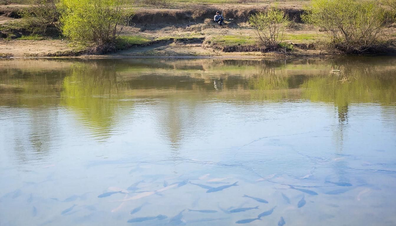 Береговая ловля — единственный вариант в сезон нереста. Иллюстрация: ECOportal.su / ИИ