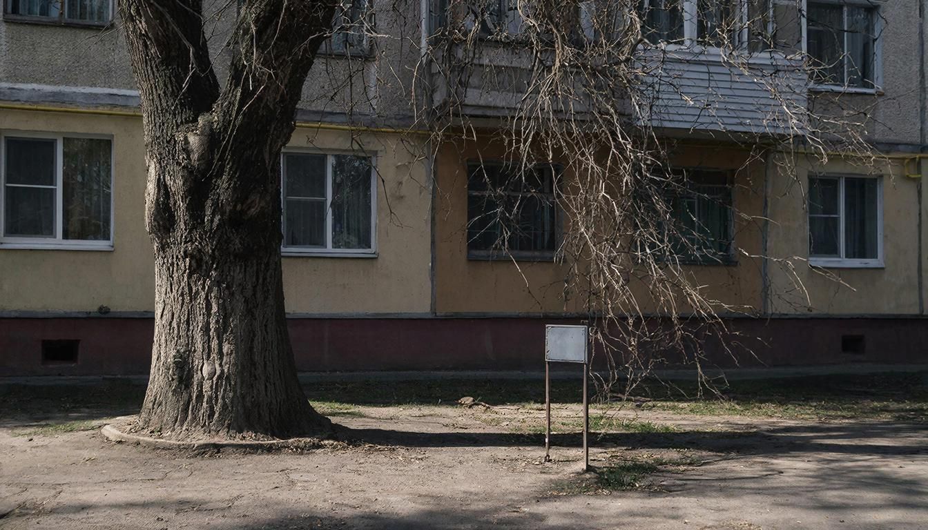 Штраф и компенсация грозят тому, кто самовольно повредил зелёные насаждения во дворе.