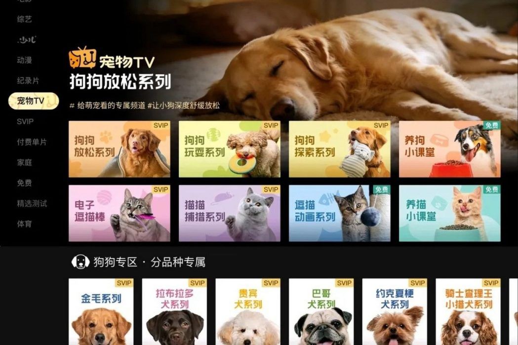 Tencent Video’s PetTV channel