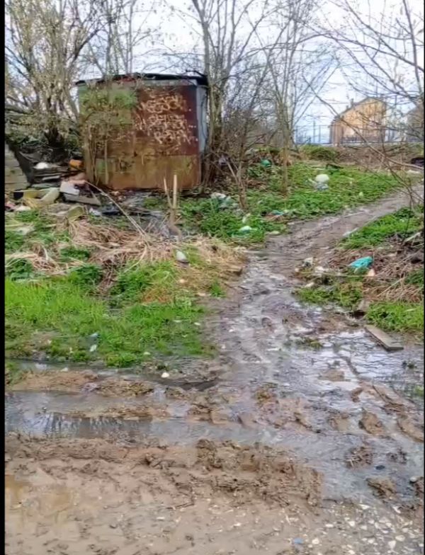 Фото: СНТ «Ягодка»