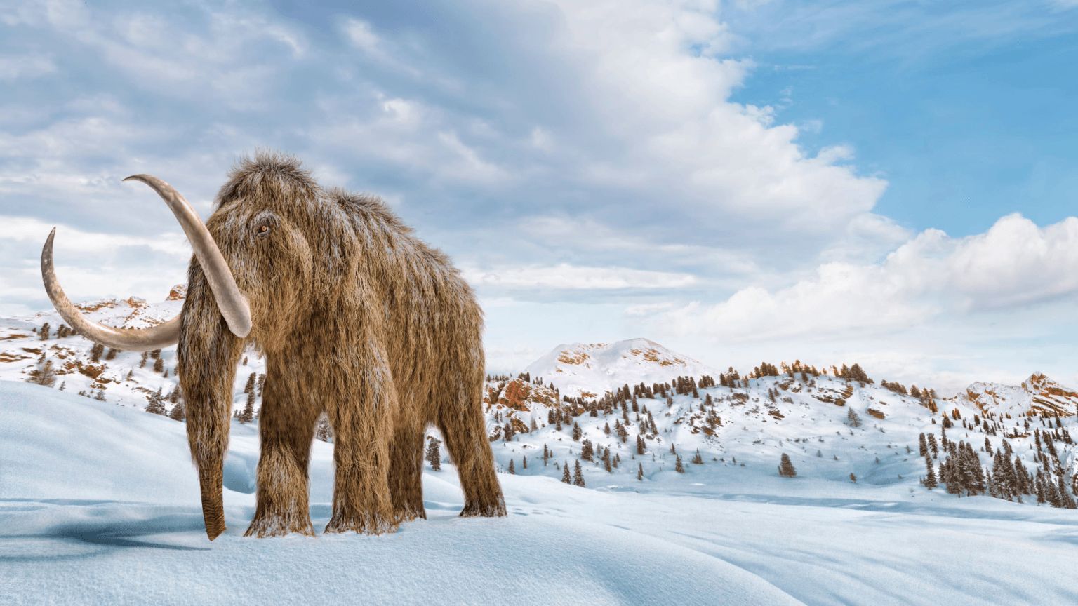 Иллюстрация: Leonello Calvetti/Science Photo Library via Getty Images