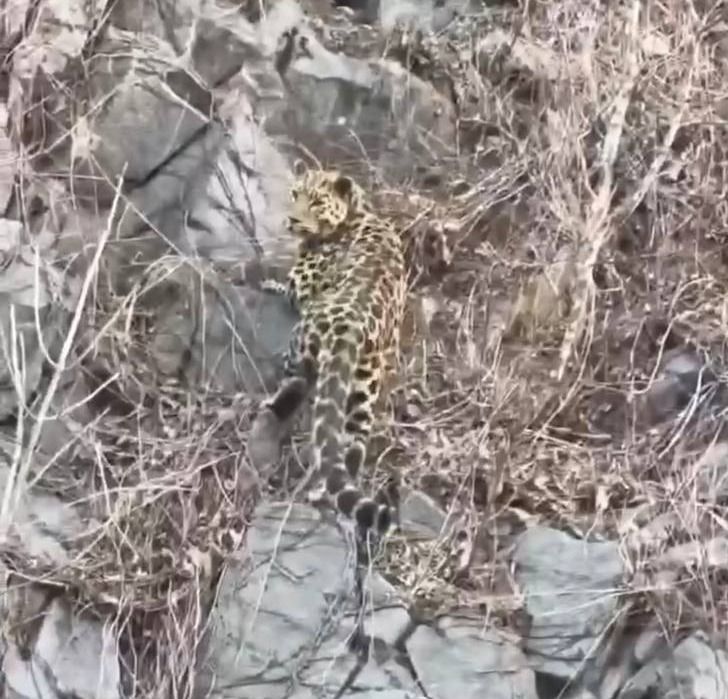 Кадр из видео
