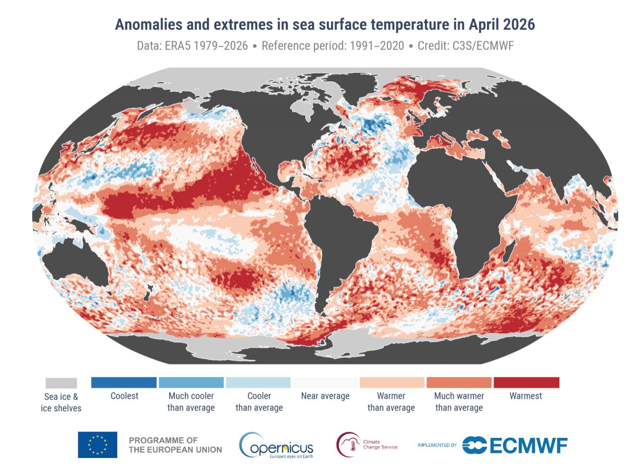 Аномалии температуры моря, апрель 2026 г. Цветовые категории — процентили (1991–2020), крайние значения — ранжирование (1979–2026). Данные — для акваторий без льда, районы со льдом — светло‑серым. Источник: ERA5 (C3S/ECMWF).