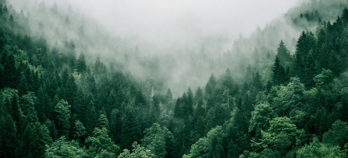 Горы Аджарии, Грузия. Фото: Unsplash/М. Кавелашвили