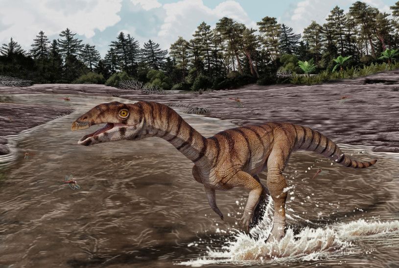 Иллюстрация: Jorge Gonzalez / NHMLAC Dinosaur Institute
