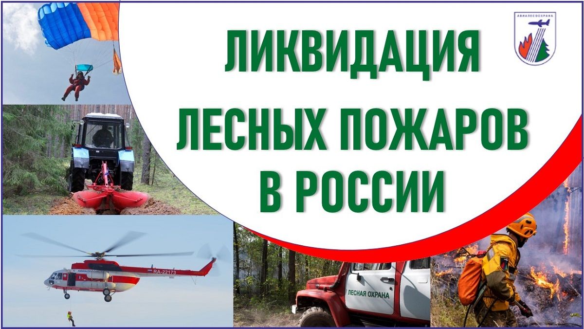 Иллюстрация: ФБУ «Авиалесоохрана»