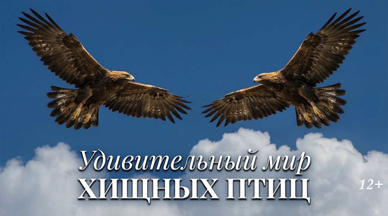 Кадр из фильма.