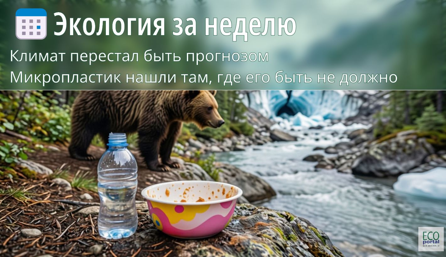 Климат, дикая природа и микропластик — главные темы экологической недели. Иллюстрация: ECOportal.su / ИИ