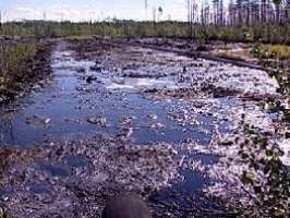Разлив нефти. Фото с сайта http://www.newsway.ru