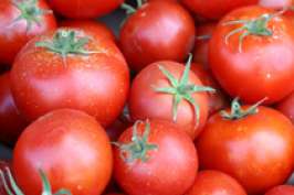 Американские эксперты не верят в антираковые свойства помидоров