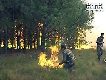 Лесной пожар в Херсонской области. Кадр украинского телеканала НТН.