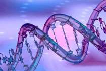 ДНК. Изображение с сайта www.sciencephoto.com