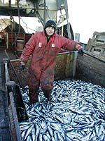 Новый Закон о рыболовстве: одни минусы, плюсов нет