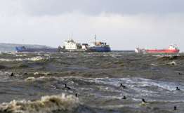 Эксперт считает ЧП в Азовском и Черном морях экологической катастрофой