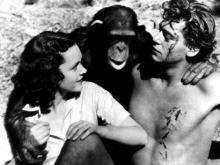 Чита в фильме &quot;Тарзан: Человек-обезьяна&quot; 1932 года  Фото:ananova.com