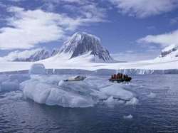 Ученые и туристы, которых становится все больше, сами того не желая, завозят в Антарктику споры, семена и насекомых, способных уничтожить нетронутую экосистему. Фото: coolantarctica.com