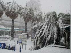Снегопад в Сочи. Фото с сайта olimprus.ru (архив)