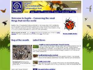Скриншот главной страницы сайта buglife.org.uk