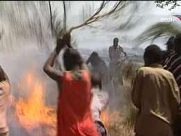 В Кении бушуют лесные пожары. Фото: Вести.Ru