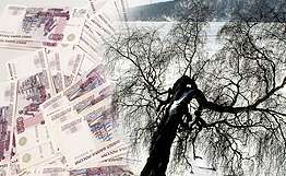 Склад стройматериалов у дерева обошелся стройкомпании в 300 тыс рублей. Фото: РИА Новости