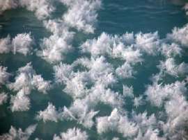 Кристаллы арктического льда содержат ядовитую метилртуть. Фото Мичиганского университета, опубликованное в журнале Science