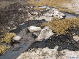В Самарской области не устранены последствия аварии на нефтепроводе. Фото: ИА Regnum