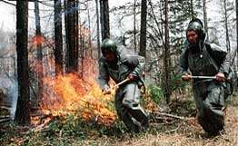 Более 50 лесных пожаров локализовано в Сибири. Фото: РИА Новости